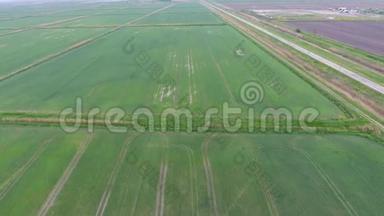 泛滥的稻田。 田间种植水稻的农艺方法。 水稻播种的水淹没农田